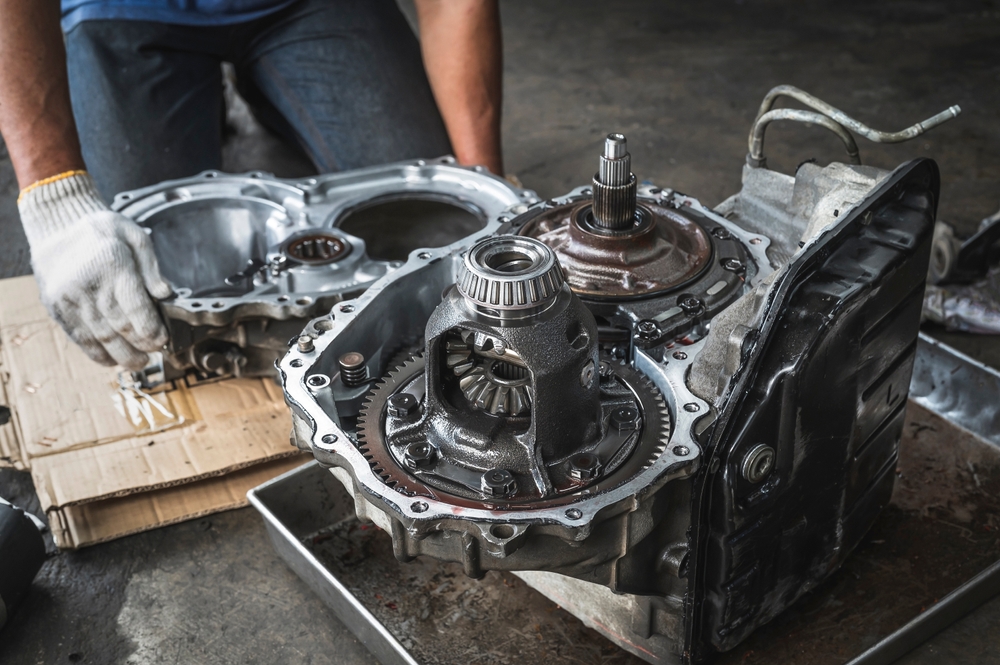 Differential And Transfer Case
