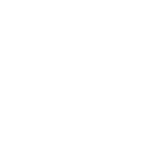 customer services